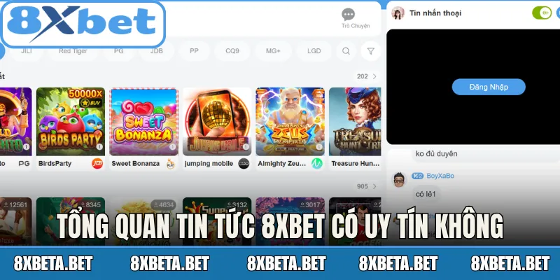 Tổng quan tin tức 8Xbet có uy tín không
