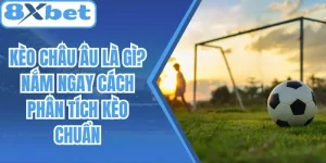 Kèo Châu Âu Là Gì? Nắm Ngay Cách Phân Tích Kèo Chuẩn