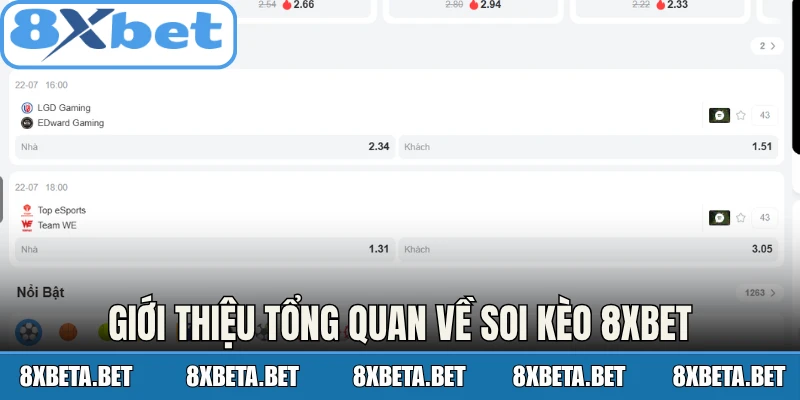 Giới thiệu tổng quan về soi kèo 8Xbet